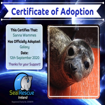Galaxy Cert.jpg